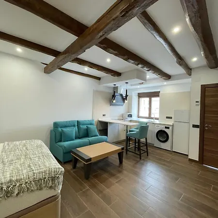 Sevihouse Casa Vicente * Hospital de Órbigo